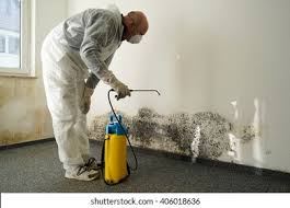 Why You Should Choose Our Mold Remediation Services in Fetters Hot Springs Agua Caliente, CA